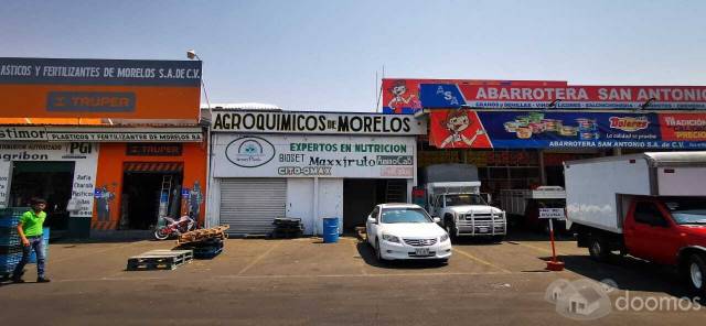 BODEGA EN CENTRAL DE ABASTOS CUAUTLA, MORELOS