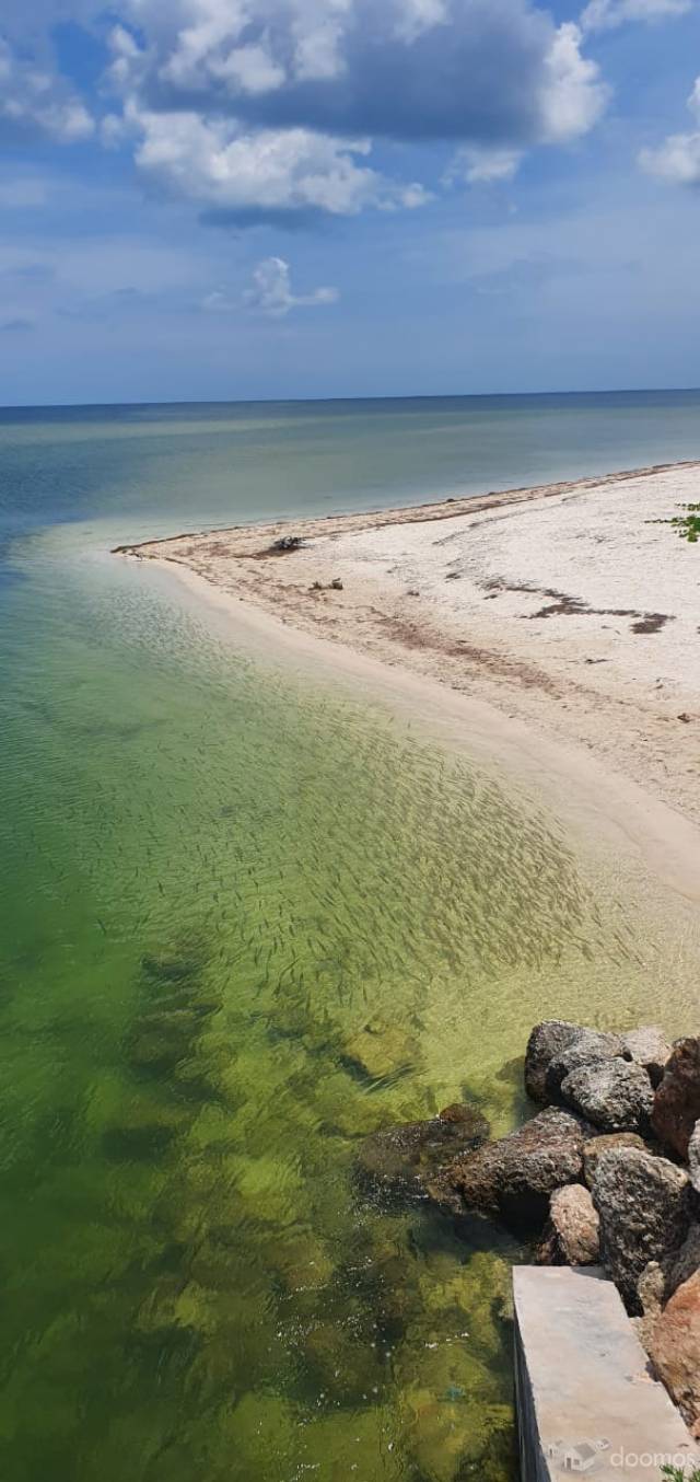 Terrenos en venta en la costa de Yucatán