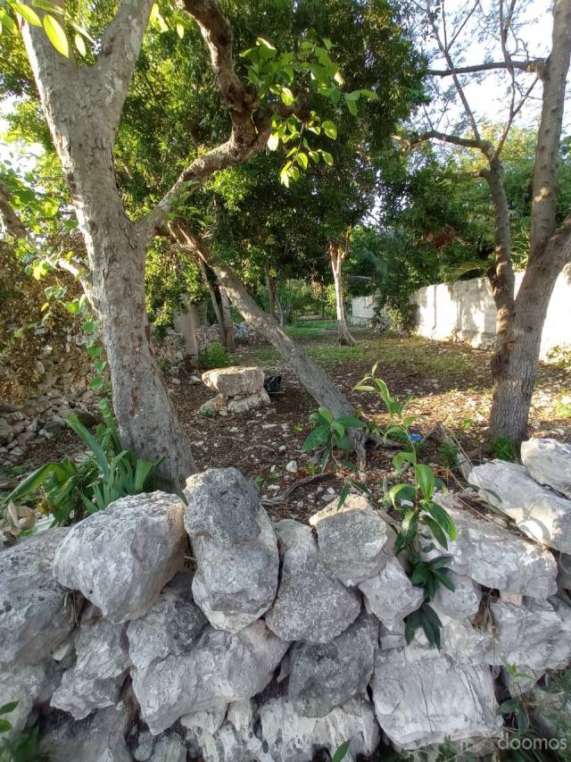 terreno en venta caucel