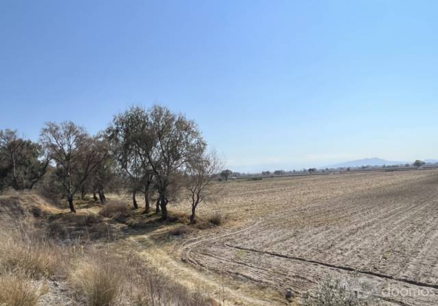 Terreno Bien Ubicado en San Jose Chiapa