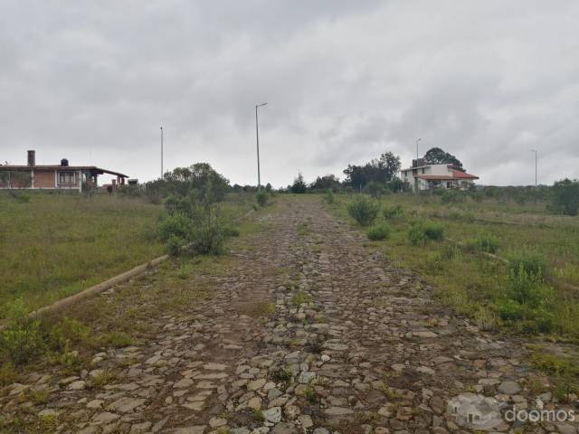 Terreno en venta Fracc. Los Fresnos Tapalpa