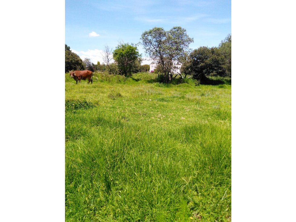 LOTES EN VENTA EN SAN LORENZO TLACUALOYAN
