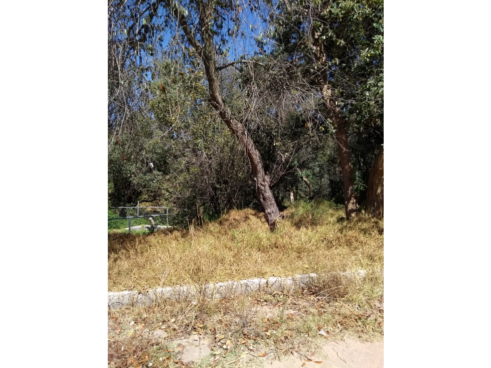 LOTES EN SAN LORENZO TLACUALOYAN YAUHQUEMEHCAN