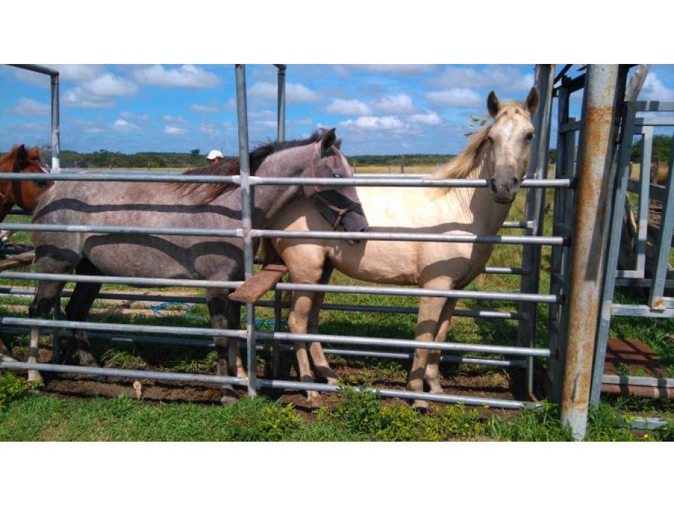 VENTA - Rancho El Marino 82ha Campo Alto Balancan