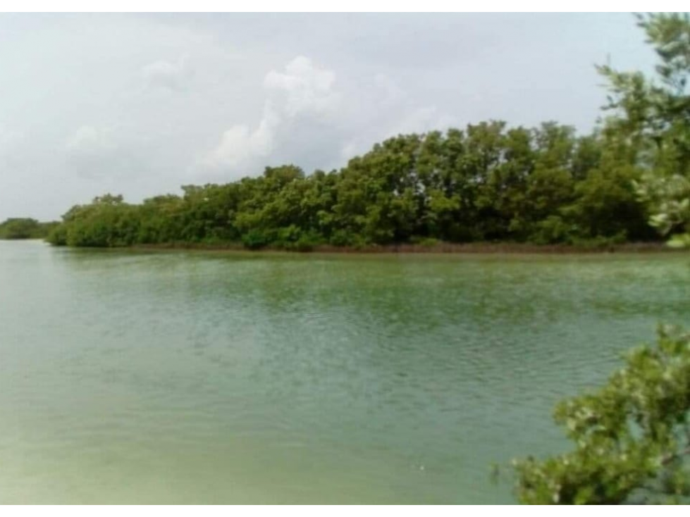 TERRENO DE 120 HAS EN YUCATÁN