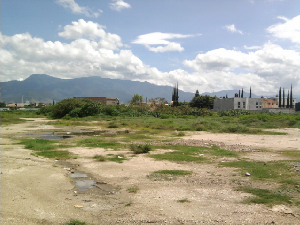 MACROLOTES CERCA DE AV. UNIVERSIDAD
