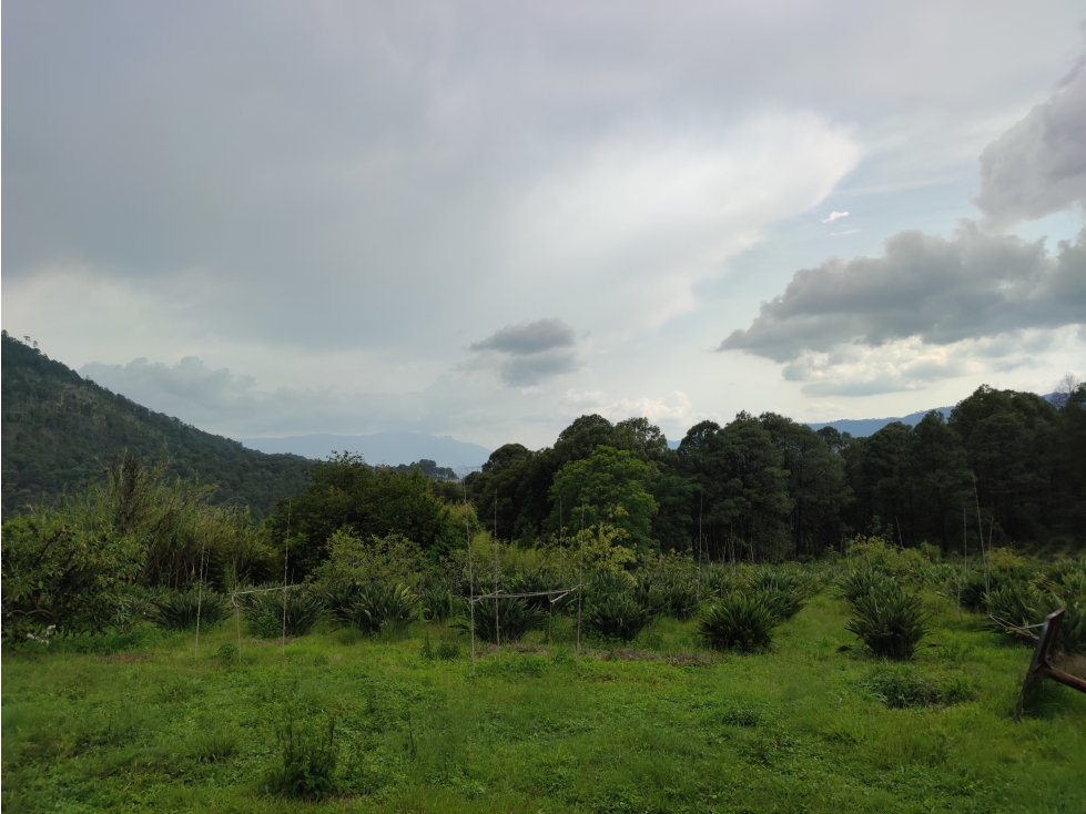 TERRENO EN VENTA, VALLE DE BRAVO, EL AGUACATE