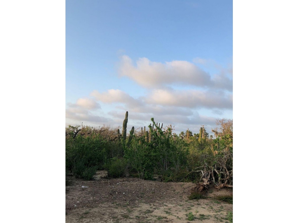 Lote cerca de Playa, al Norte de Todos Santos