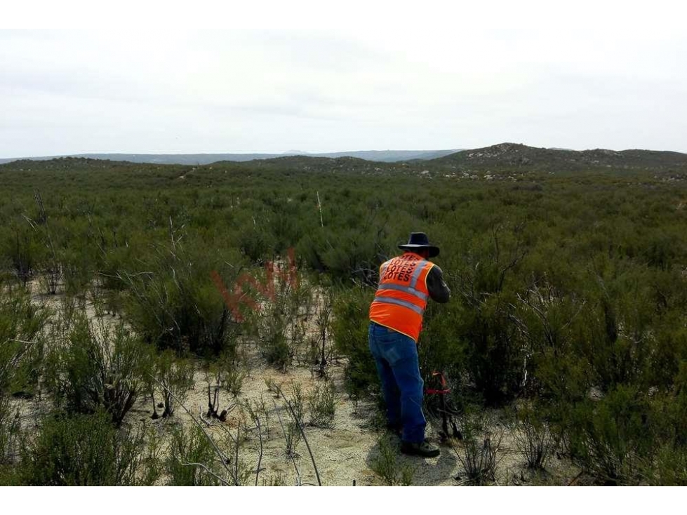 TERRENOS RUSTICOS MAGICOS EN BÚFALOS LAS JUNTAS-TECATE