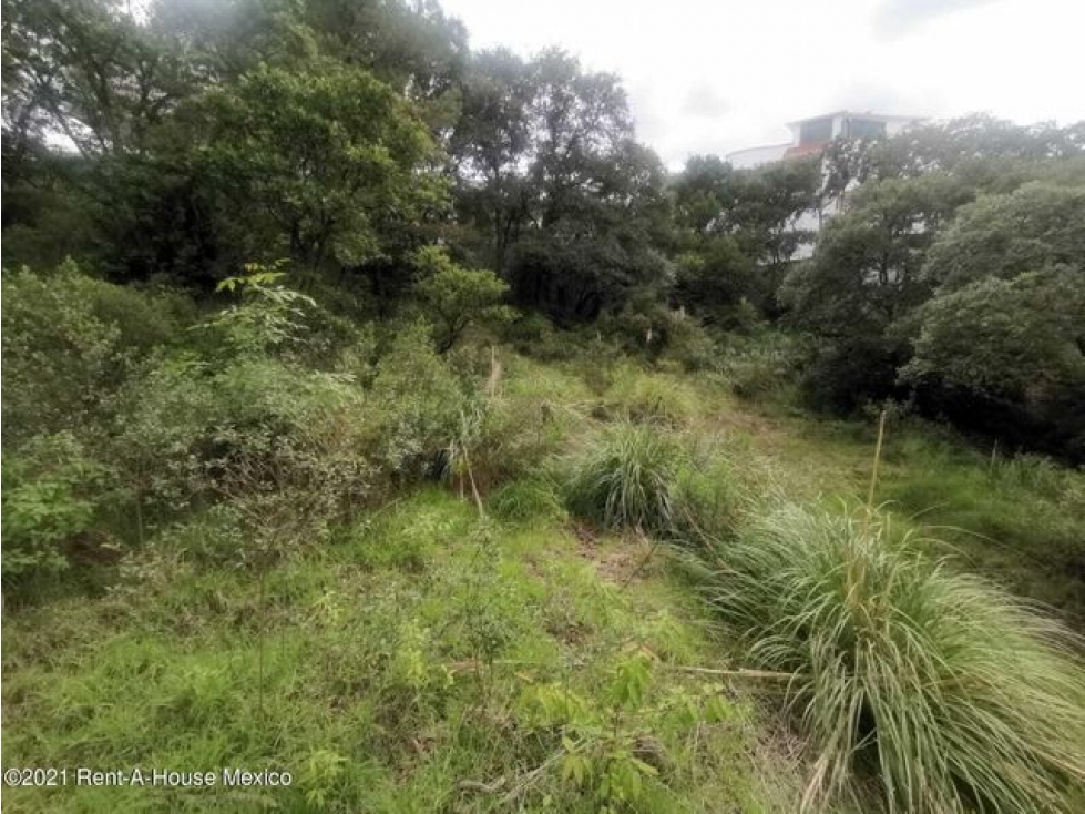 Terreno en Venta Condado de Sayavedra, Calle Cheviot 22-783. NC