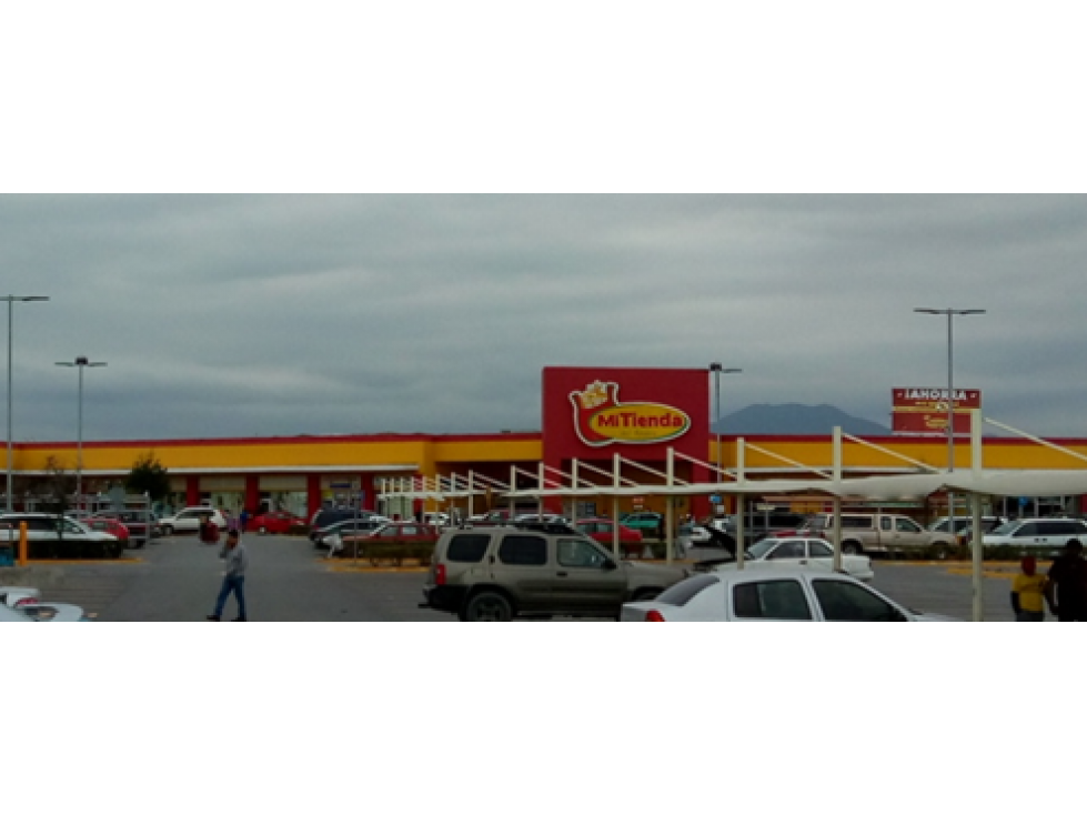LOCAL 16-E MI TIENDA DEL AHORRO SAN ROQUE