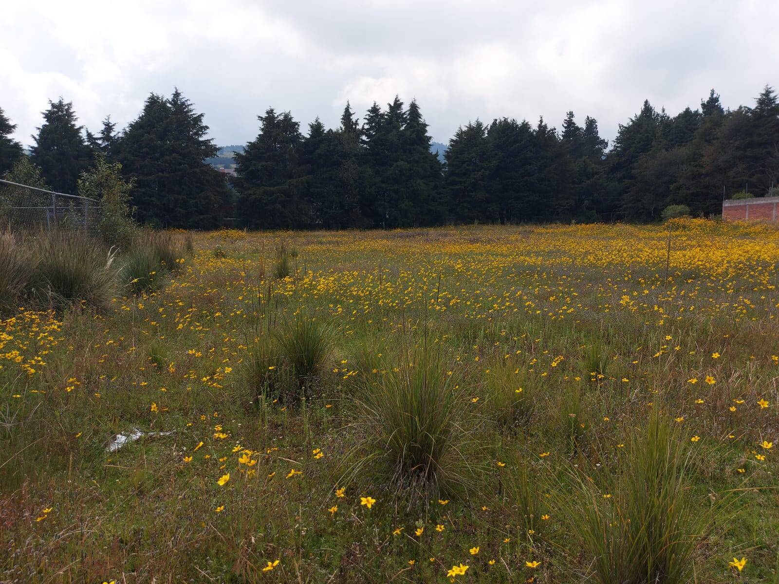 Venta terreno en Santo Tomás Ajusco
