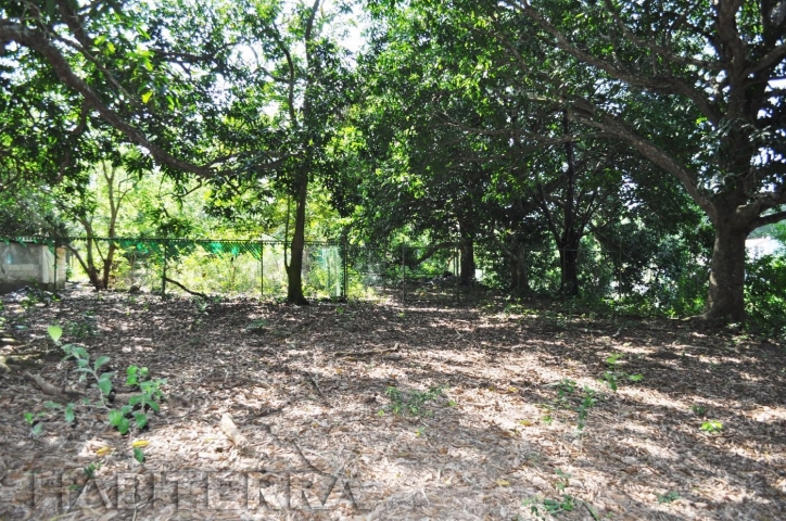 TERRENO EN VENTA EN JUANA MOZA, TUXPAN, VER