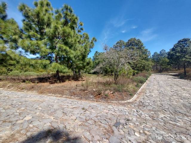 Terreno en Venta - Fraccionamiento Real de los Encinos, Tapalpa, Jalisco