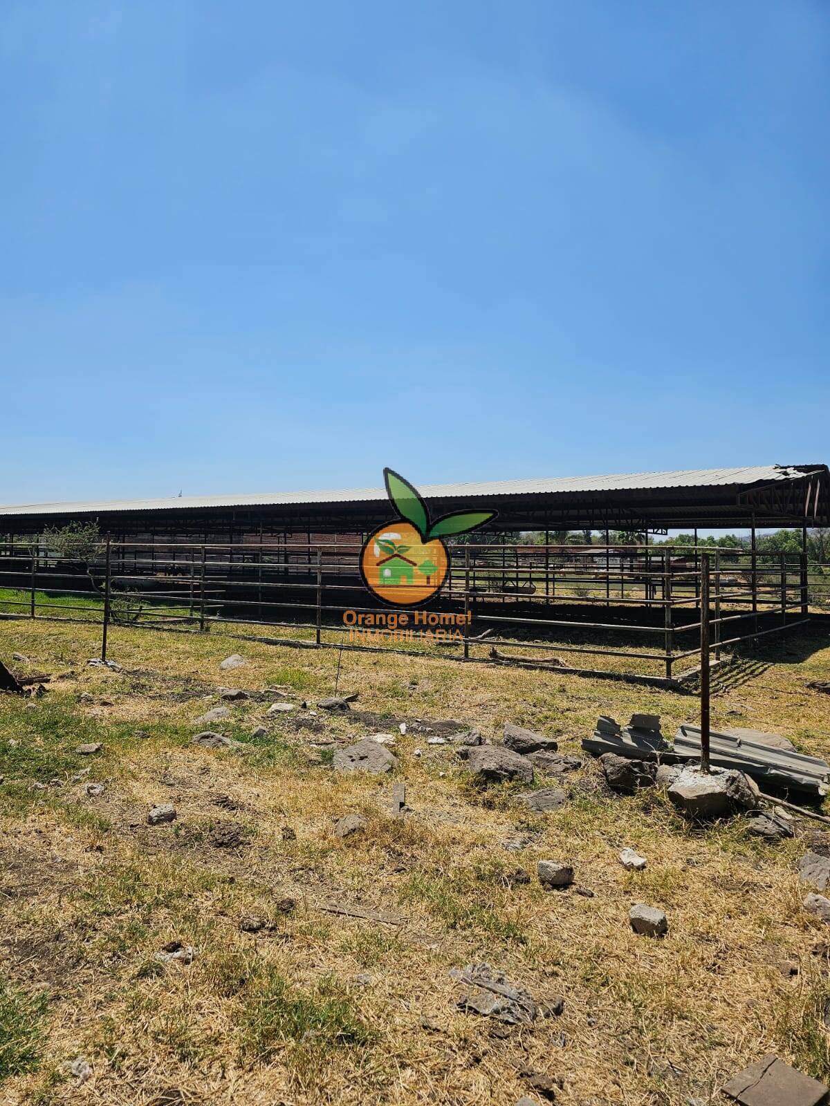 TERRENO DE 4.6 HECTÁREAS EN PUENTE GRANDE, ZAPOTLANEJO