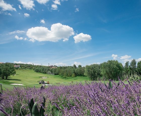 EXCLUSIVO TERRENO EN CLUB DE GOLF AMANALI, TEPEJI DEL RÍO.