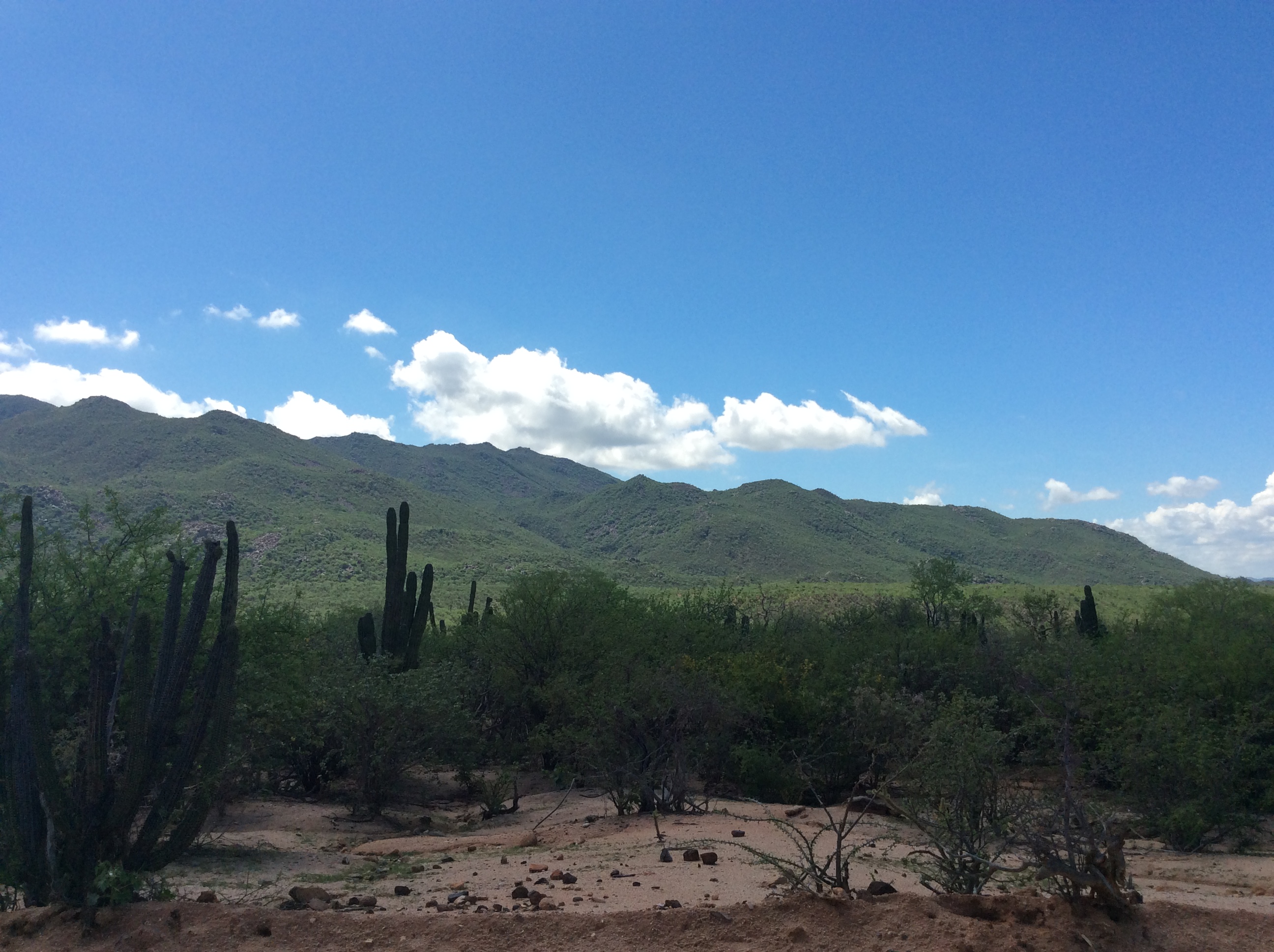 Predio en venta cerca de San Pedro, BCS.