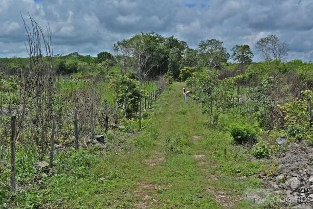 Terreno Venta Espita Yucatan 22 hectáreas