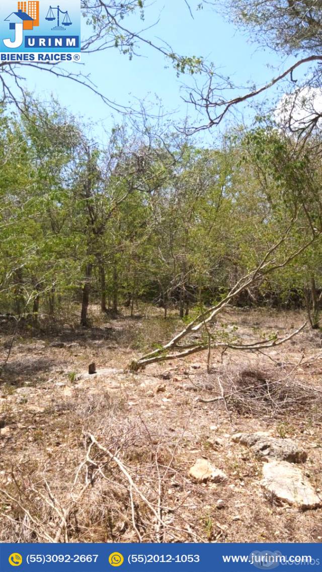 SE VENDE RANCHO XANABA YUCATAN