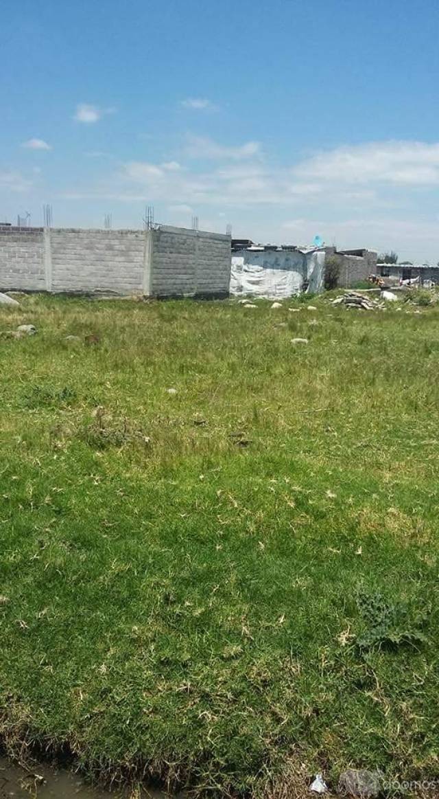 TERRENO EN VENTA EN SAN BERNARDINO TEXCOCO