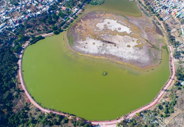 VENTA DE TERRENO 450,000 MT2 PARA FRACCIONAR TRIPLIQUE SU INVERSION EN PUEBLO MAGICO DE YURIRIA TODOS LOS SERVICIOS, A SOLO $98.- EL MT2