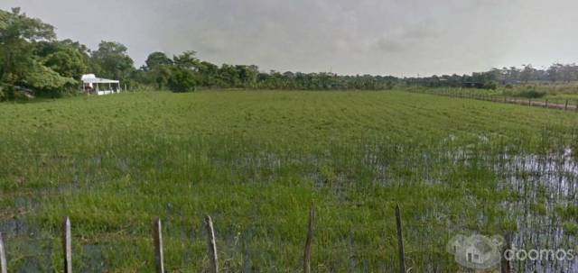 TERRENO EN VENTA EN LA CALLE EL LIMON RANCHERIA EL BAJIO PRIMERA