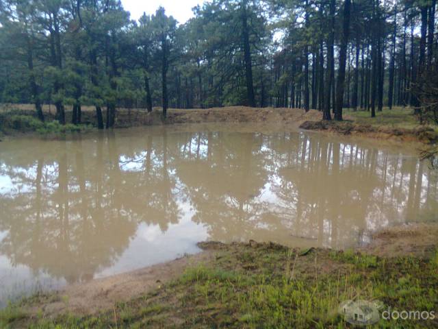 Para Inversionistas Lote de Terreno a Pie de Carretera