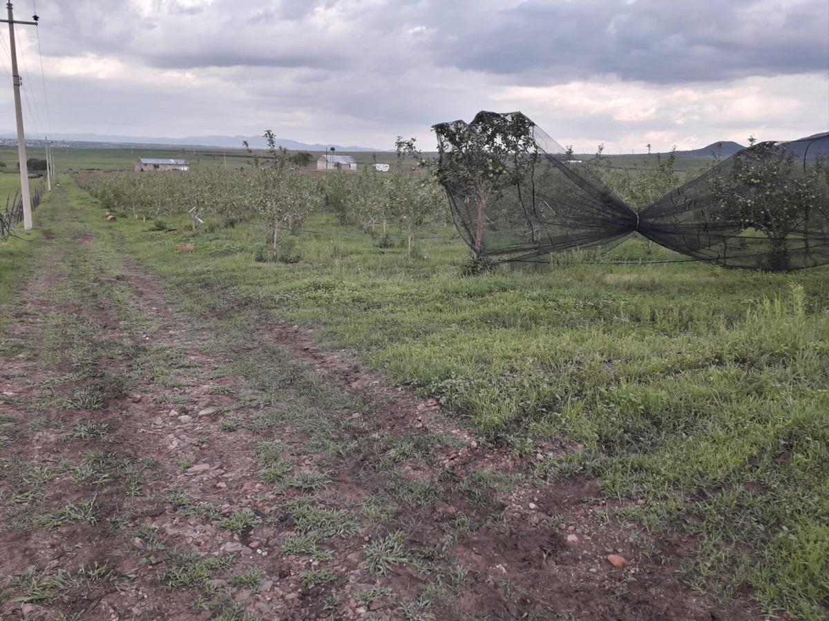 Venta de Huerta Manzanera en La Junta Chihuahua