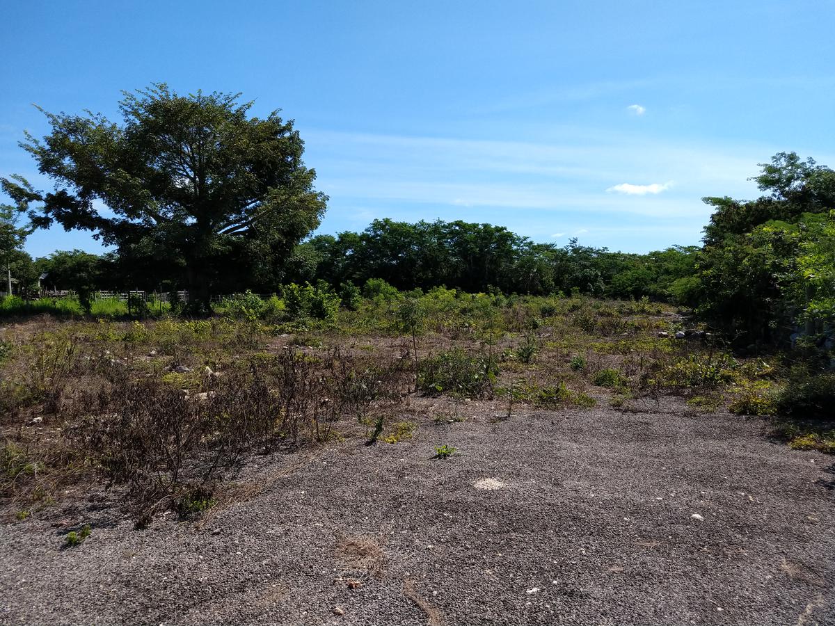 Terreno de 3500 m2 en la orilla de Chicxulub Pueblo