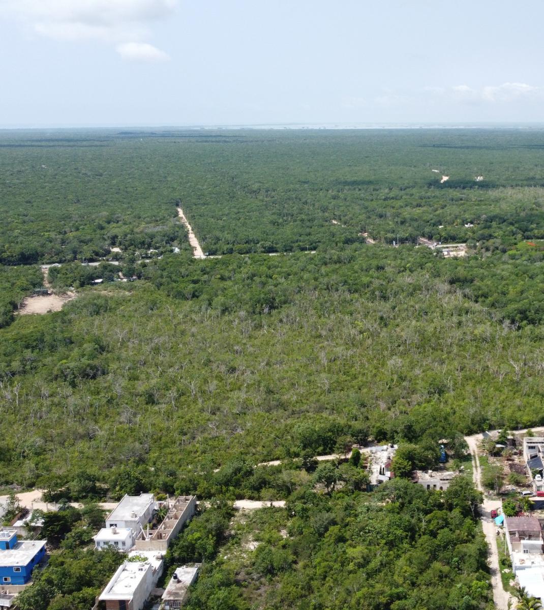 VENTA DE TERRENO EN TULUM REGIÓN 11