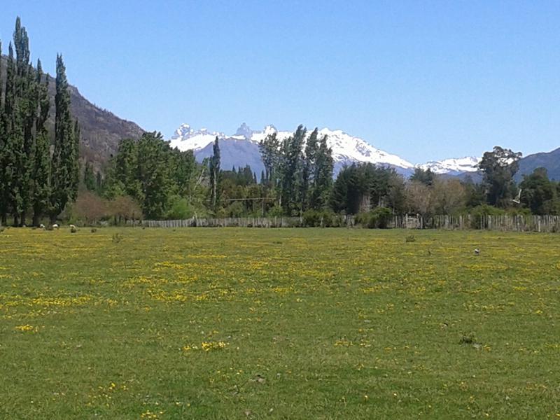 LAGO PUELO, unicos lotes de 2000 mts2, frente al parque nacional