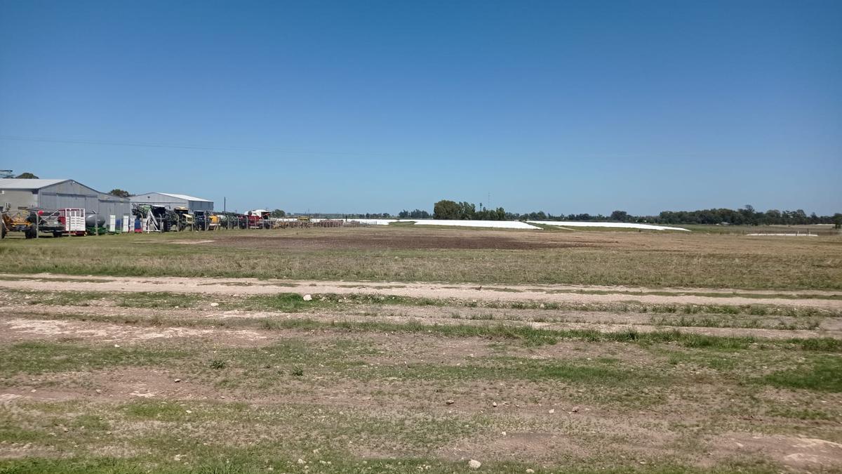 Terreno Venta 14000m2 - Tres Arroyos