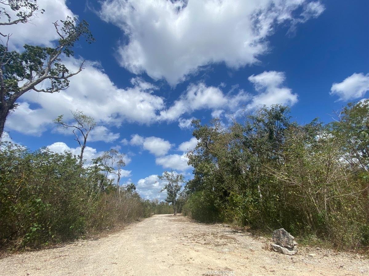 Terreno en venta en Ruta de los Cenotes
