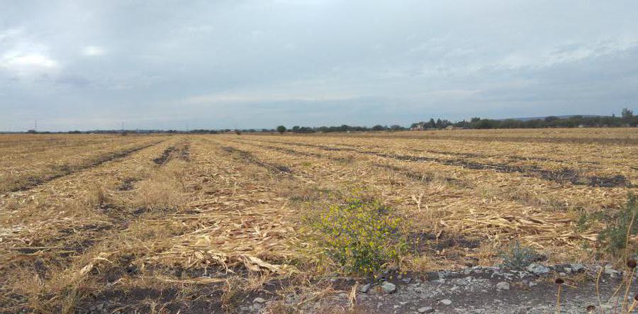 Terreno - Ejido Estancia de La Sandia