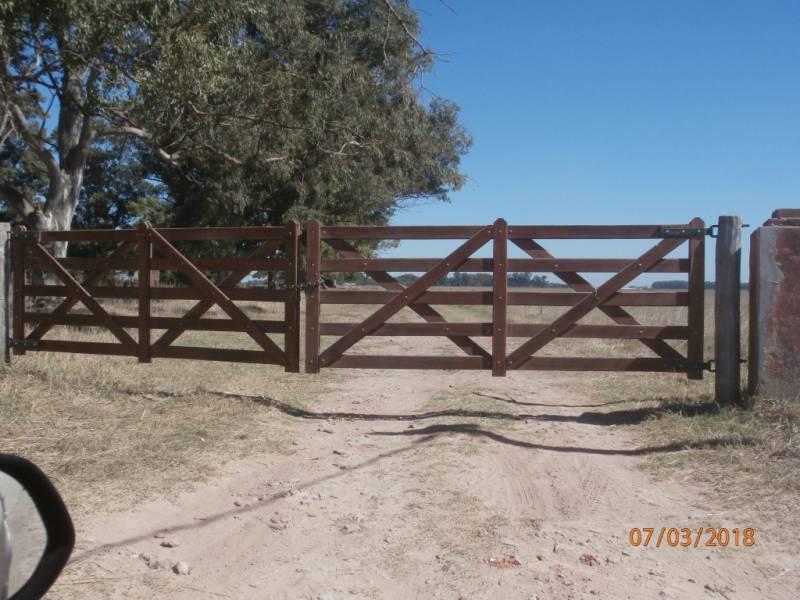 Campo alto a 60 km del ovelisco 376 Hectareas con Mejoras