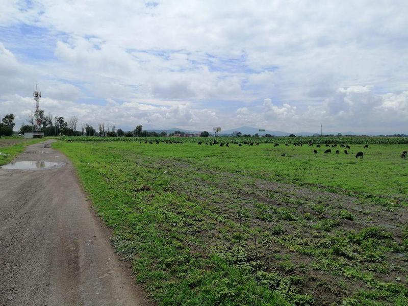 TERRENO EN VENTA EN TECAMAC ESTADO DE MEXICO