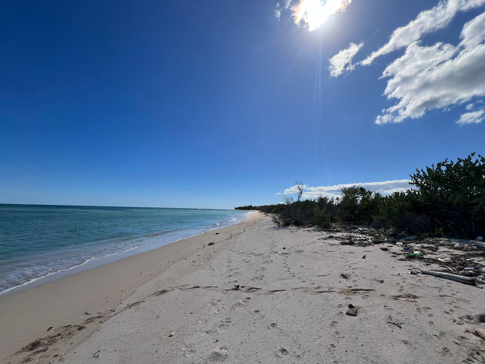 Ultimo Terreno en Mahahual a la orilla de la Playa