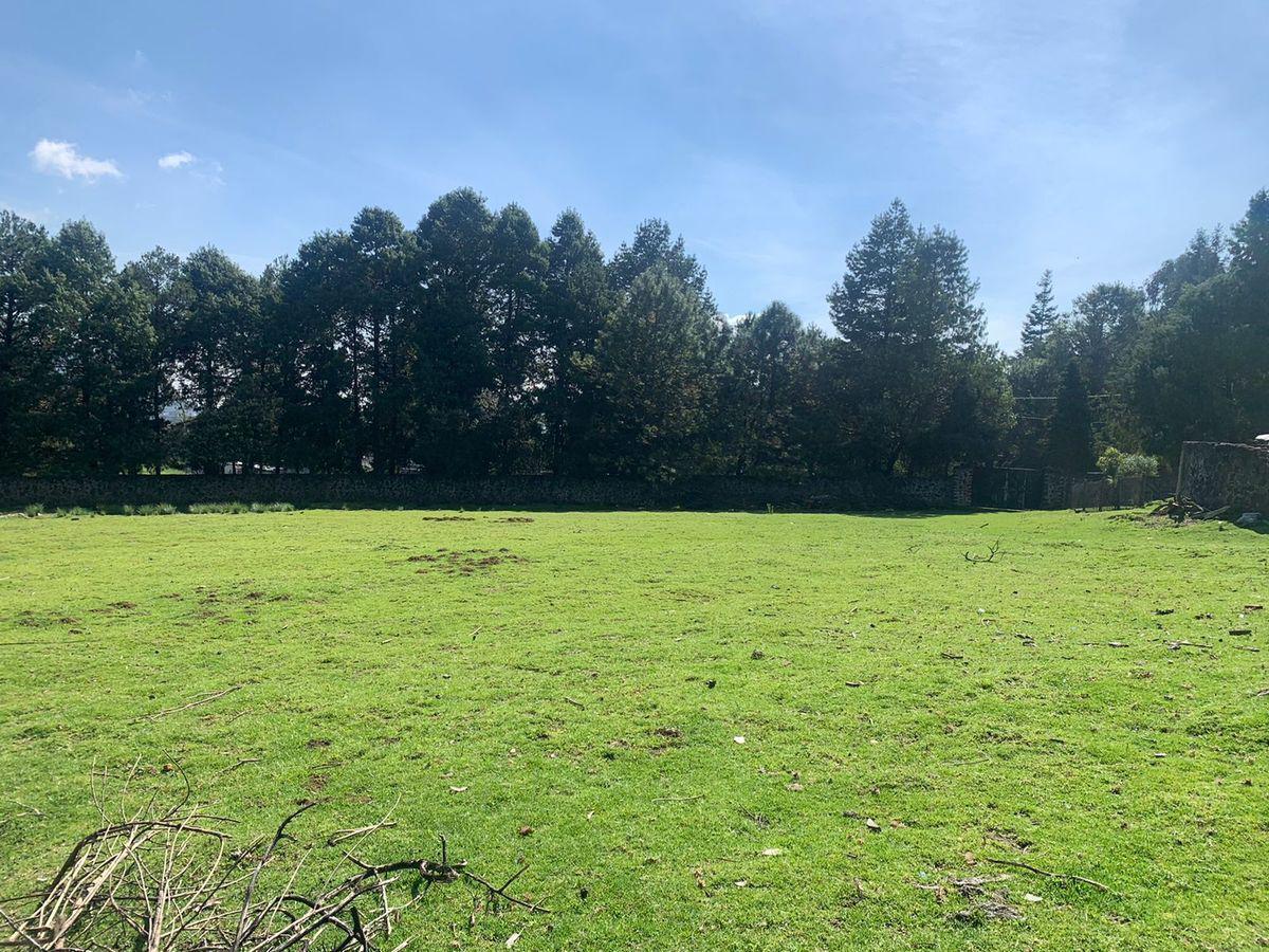 TERRENO CON CORTIJO Y RUEDO EN VENTA - OPORTUNIDAD