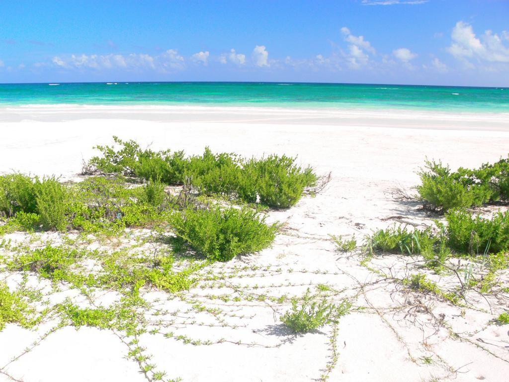 EXCLUSIVO TERRENO FRENTE AL MAR EN TULUM