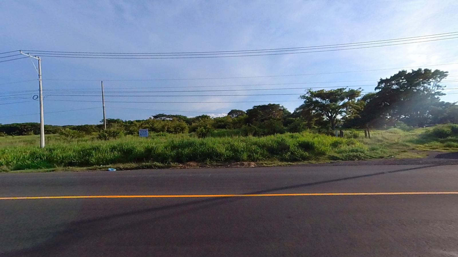 TERRENO EN VENTA A LA ORILLA DE LA CARRETERA PASO DEL TORO