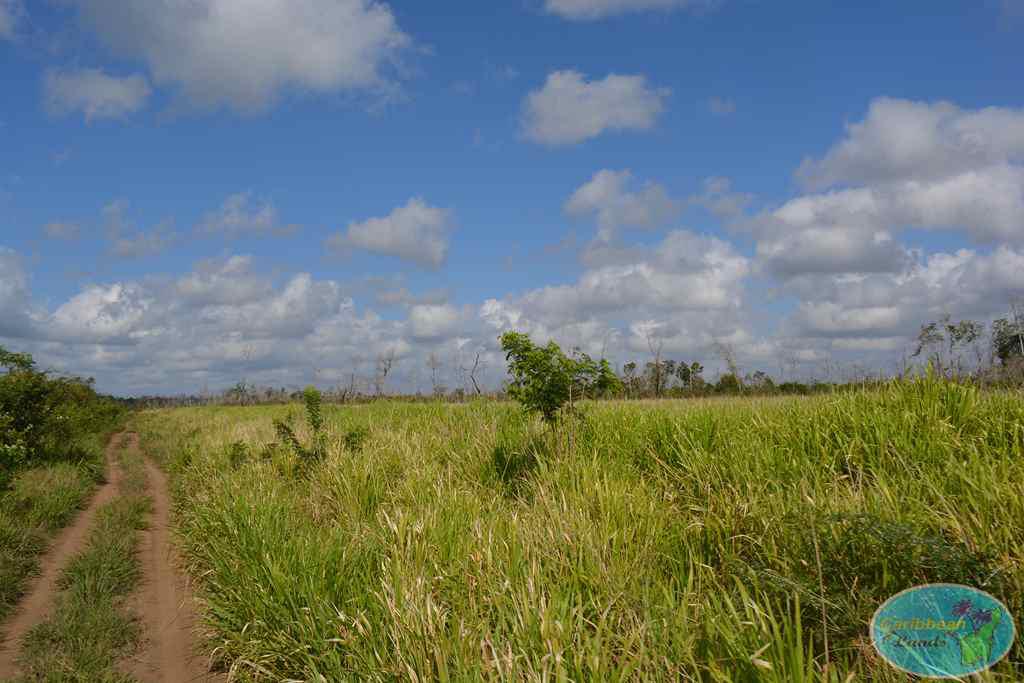 Rancho en Venta en Quintana roo