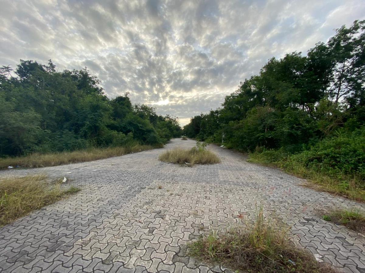 Terreno - Playa del Carmen