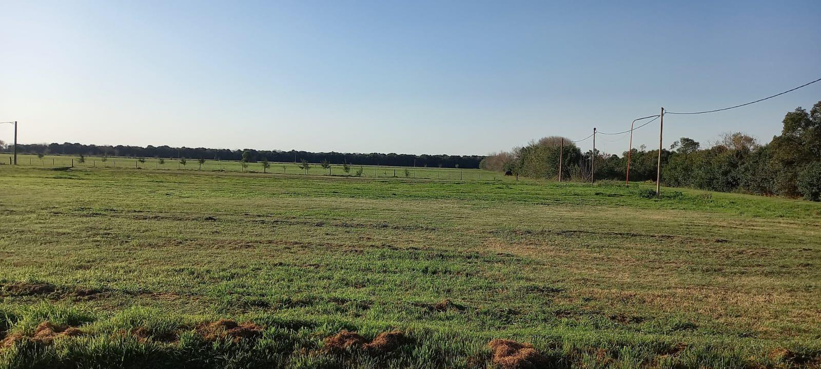 Campo en Pujato Norte