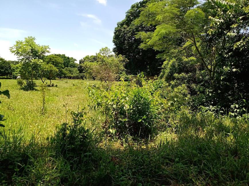 Terreno en Ejido Playa de Vacas Medellín de Bravo Veracruz