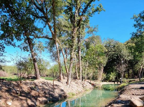 Terrenos Campestres en Venta en Montemorelos