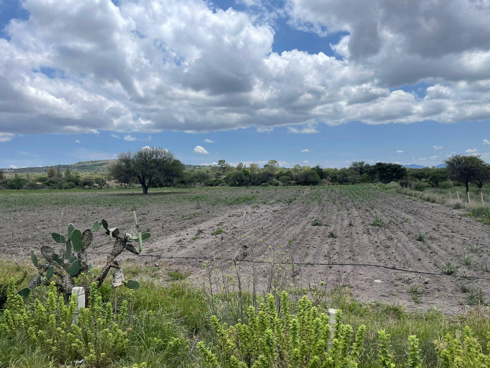 Terreno Venta en Ezequiel Montes