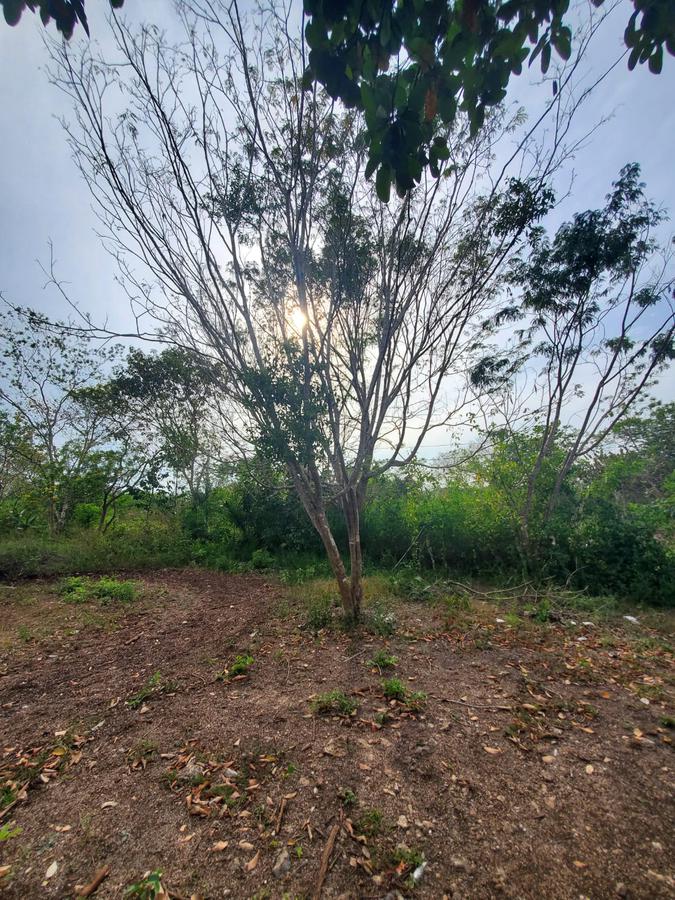 VENTA DE TERRENO EN BACALAR CERCA DEL TREN MAYA