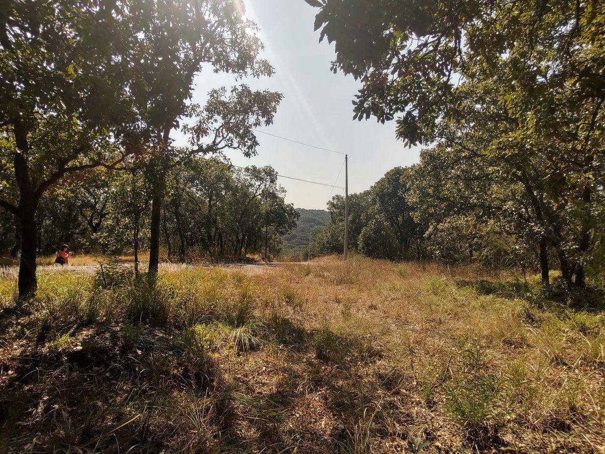 VENTA DE LOTE DE TERRENO, HARAS DEL BOSQUE, PUEBLA