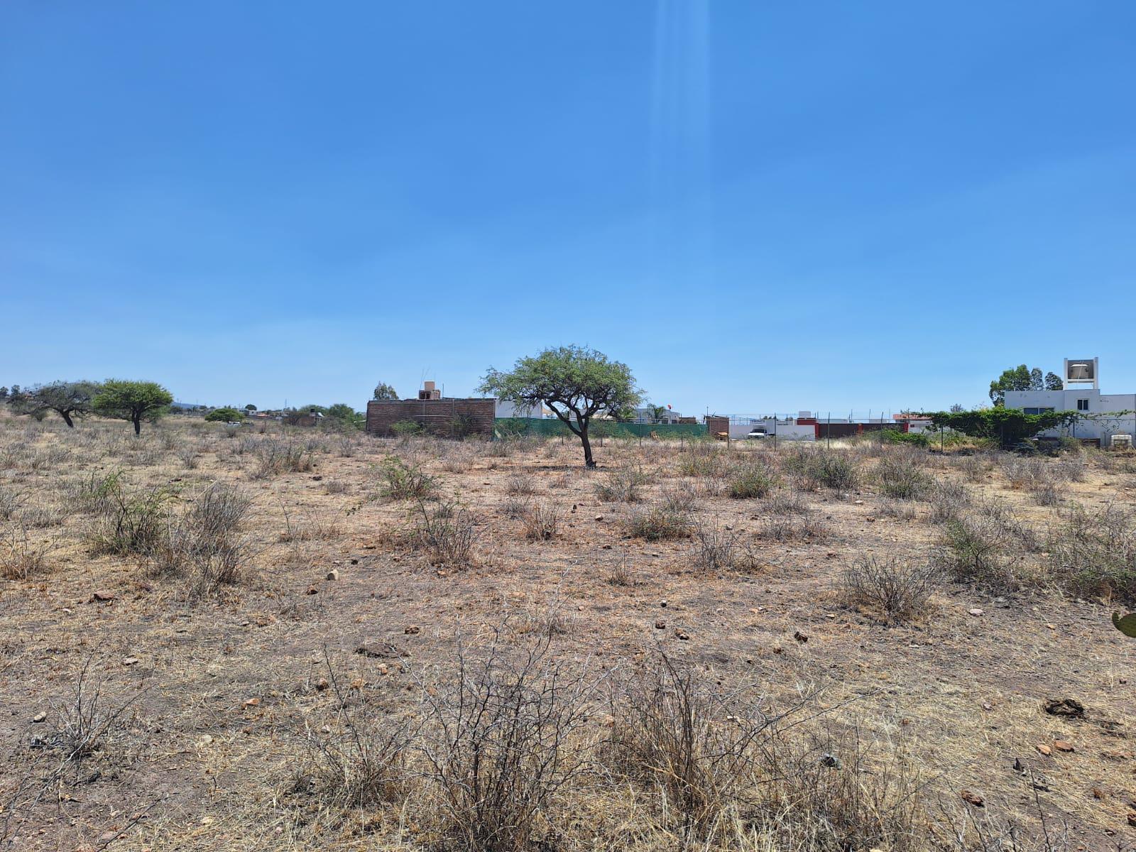 Terreno Campestre por Eje Metropolitano en la Comunidad de Zaragoza