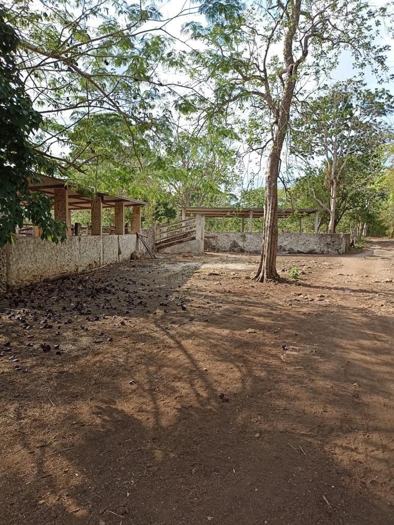 Rancho cerca de Merida en Sucila Yucatan 39 hectareas